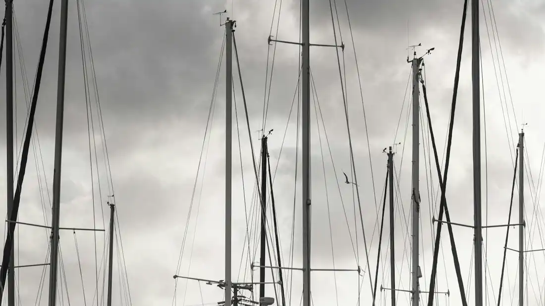 Boats moored in a harbour